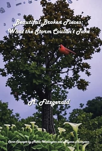 Cover of Beautiful Broken Pieces by M.Fitzgerald